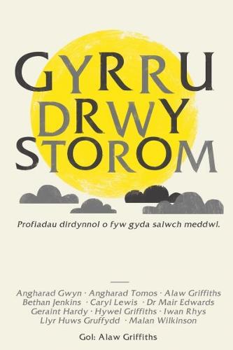 Gyrru drwy Storom (Paperback)