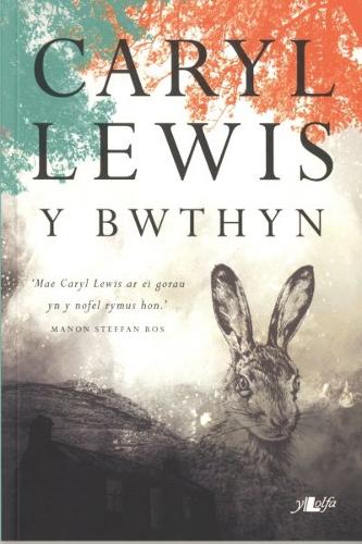 Bwthyn, Y (Paperback)