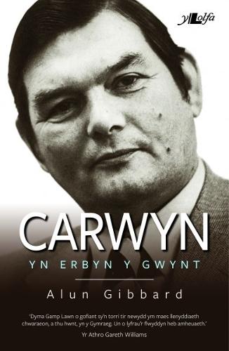 Carwyn - yn Erbyn y Gwynt (Paperback)