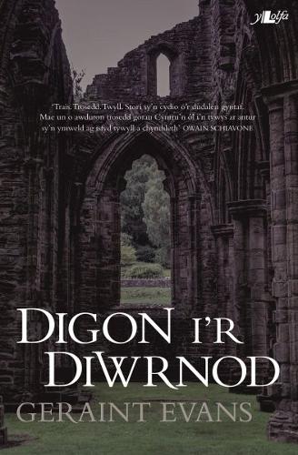 Digon i'r Diwrnod (Paperback)