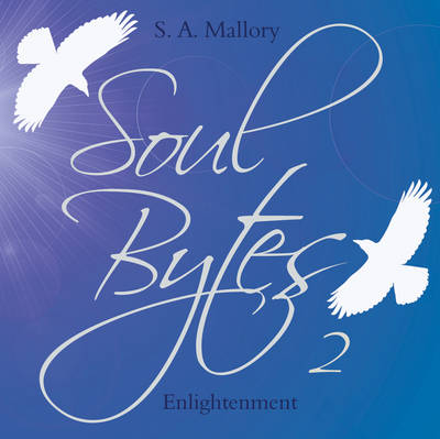 Soul Bytes 2: Volume 2: Enlightenment (Paperback)