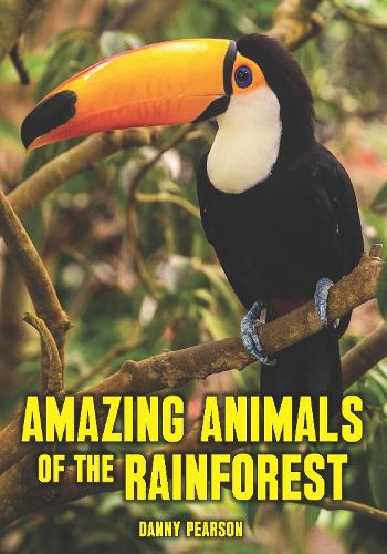Amazing Animals of the Rainforest - Wow! Facts (P) (Paperback)
