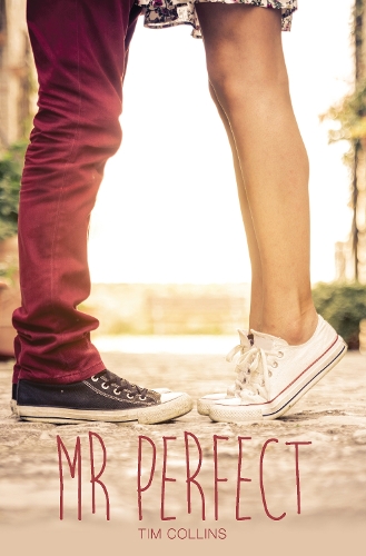 Mr. Perfect - Teen Reads IV (Paperback)