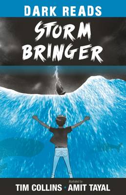 Storm Bringer - Dark Reads 2 (Paperback)