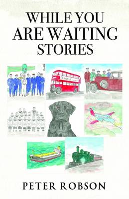While You are Waiting Stories (Paperback)