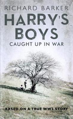 Harry's Boys (Paperback)