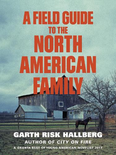 A Field Guide to the North American Family (Paperback)