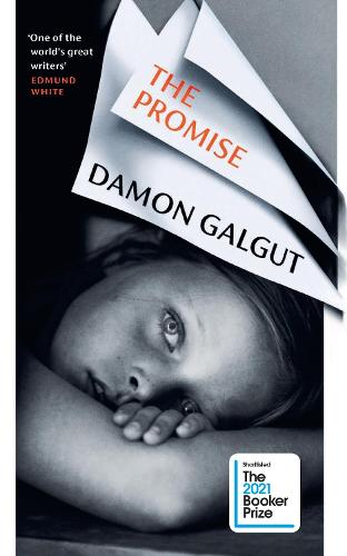 The Promise (Hardback)