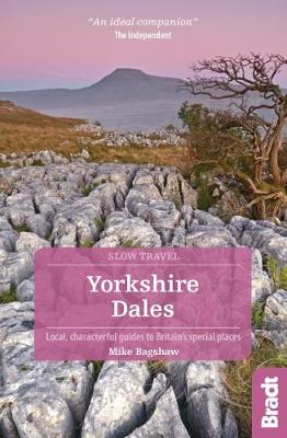 York City Guide - English (Pitkin City Guides) : Bullen, Annie:  : Books