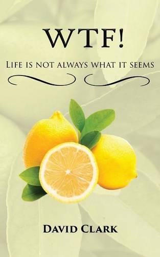 WTF! Life is Not Always What it Seems (Paperback)