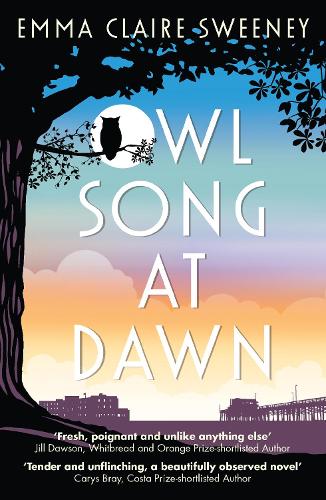 Owl Song at Dawn (Paperback)