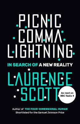 Picnic Comma Lightning: In Search of a New Reality (Hardback)