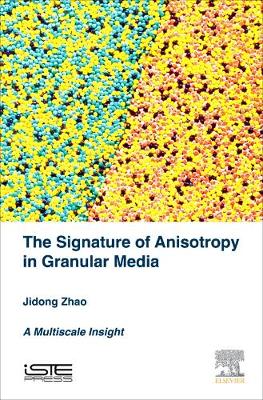 The Signature of Anisotropy in Granular Media: A Multiscale Insight (Hardback)