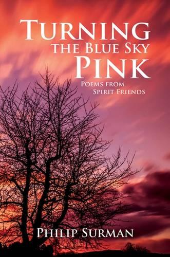 Turning the Blue Sky Pink (Paperback)