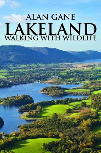 Lakeland: Walking with Wildlife (Hardback)