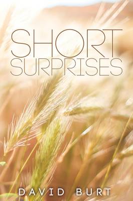 Short Surprises (Hardback)