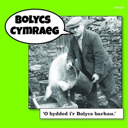 Bolycs Cymraeg (Paperback)