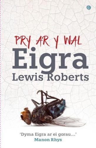 Pry ar y Wal (Paperback)