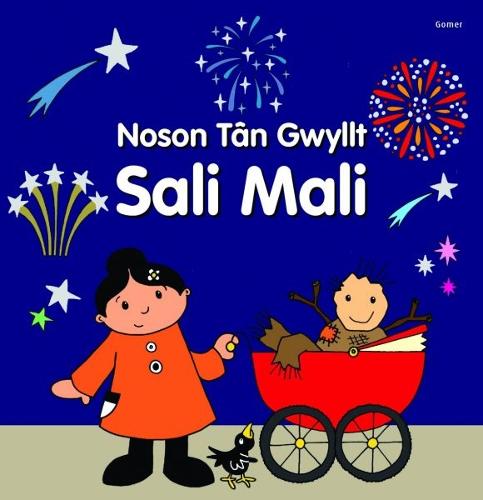 Noson Tan Gwyllt Sali Mali (Hardback)