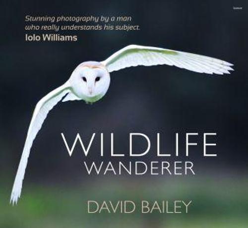 Wildlife Wanderer (Hardback)