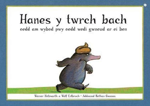 Hanes y Twrch Bach oedd am Wybod Pwy oedd Wedi Gwneud ar ei Ben (Paperback)