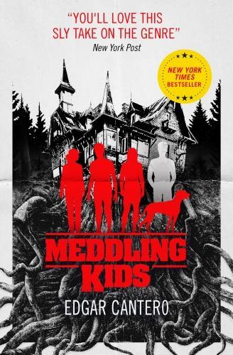 Book cover of Meddling Kids