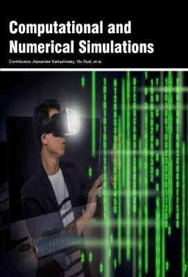 Computational and Numerical Simulations (Hardback)