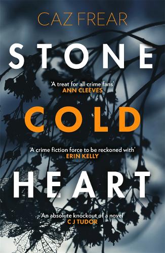 Stone Cold Heart (Paperback)
