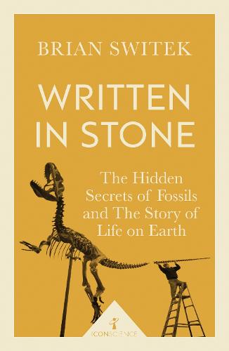 Written in Stone (Icon Science) - Icon Science (Paperback)
