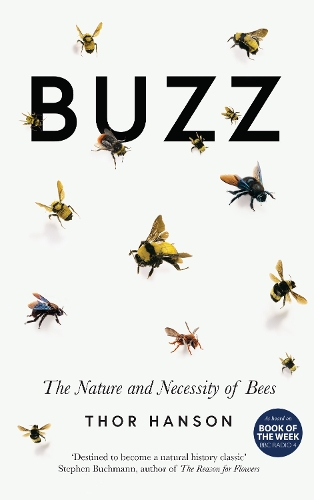 Buzz: The Nature and Necessity of Bees (Hardback)