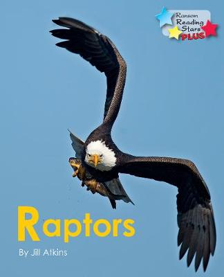 Raptors - Reading Stars Plus (Paperback)