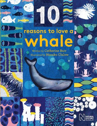 10 Reasons To Love A Whale By Catherine Barr, Natural History Museum 