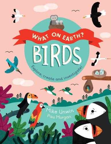 Birds: Explore, Create, and Investigate! - What on Earth? (Hardback)
