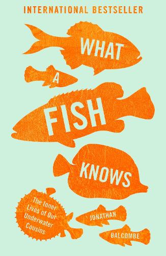 What a Fish Knows: The Inner Lives of Our Underwater Cousins (Paperback)