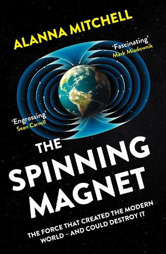 The Spinning Magnet: The Force That Created the Modern World - and Could Destroy It (Paperback)