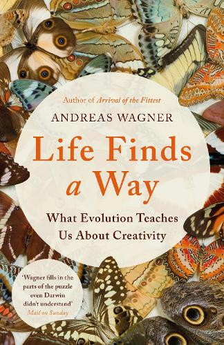 Life Finds a Way: What Evolution Teaches Us About Creativity (Hardback)