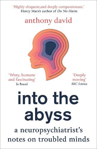 Into the Abyss: A neuropsychiatrist's notes on troubled minds (Paperback)