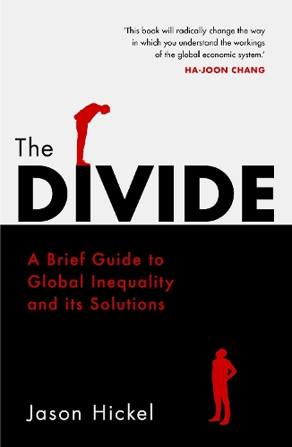 Cover of the book The Divide