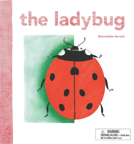The Ladybird (Paperback)