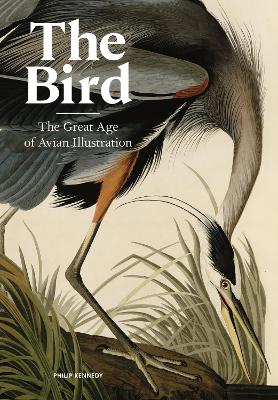 The Bird: The Great Age of Avian Illustration (Hardback)