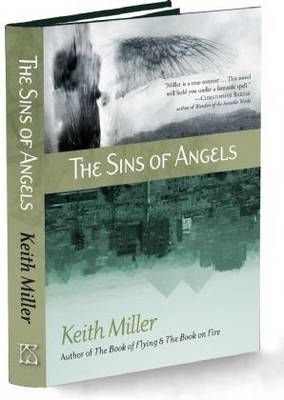 The Sins of Angels (Hardback)