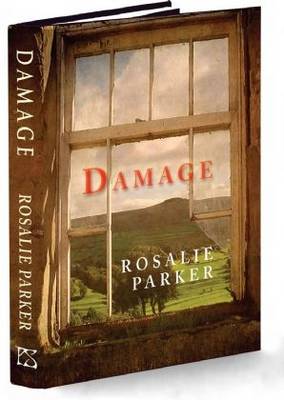 Damage (Hardback)