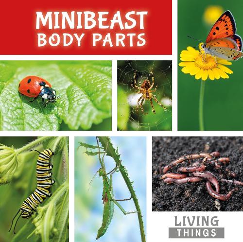 Minibeast Body Parts - Living Things (Hardback)