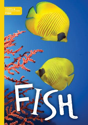 Animal Classification: Fish - Animal Classification (Hardback)