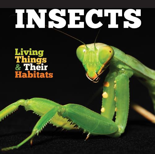 Insects - Living Things and Their Habitats (Hardback)