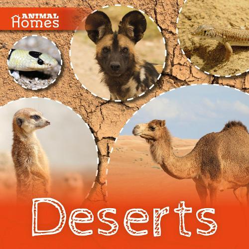 Deserts - Animal Homes (Hardback)