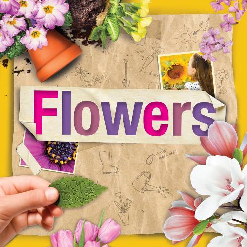 Flowers - Plant Parts (Hardback)