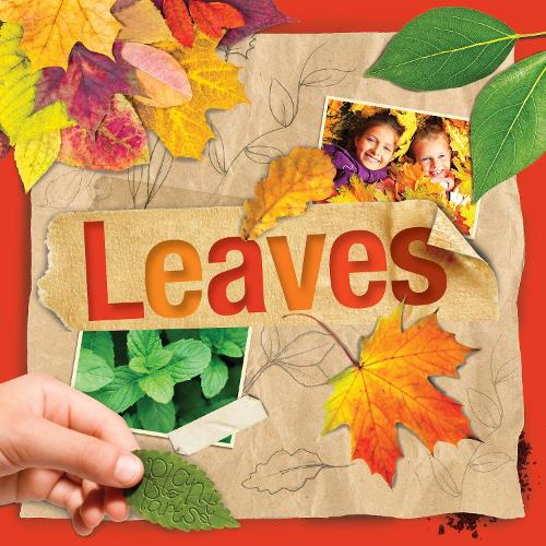 Leaves - Plant Parts (Hardback)