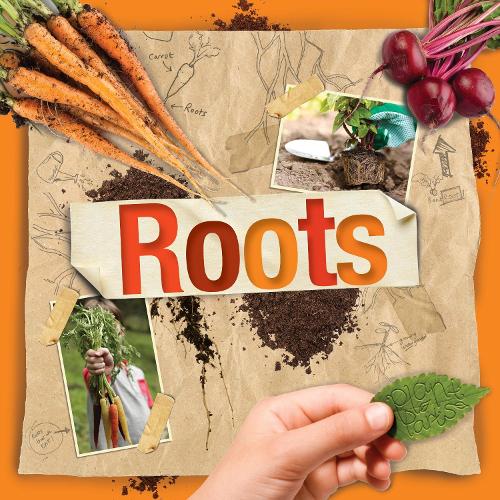 Roots (Hardback)