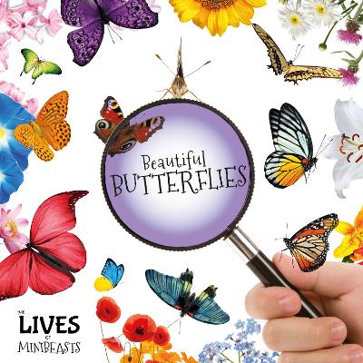 Beautiful Butterflies - The Lives of Minibeasts (Hardback)